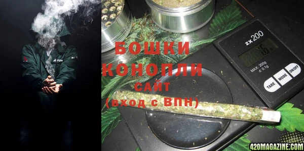ГАЛЛЮЦИНОГЕННЫЕ ГРИБЫ Балабаново